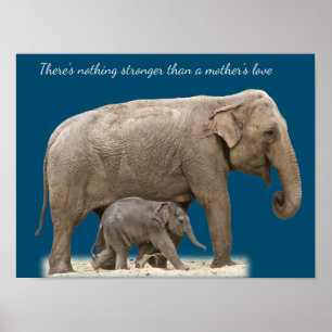 Poster Mère Eléphant et mur bébé art