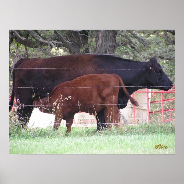 Poster Mère et enfant (Devant)