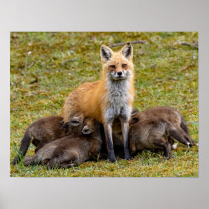 Poster Mère être comme