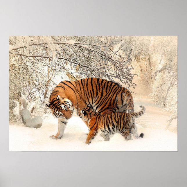 Poster Mère Tigre et Cub dans la forêt de neige (Devant)
