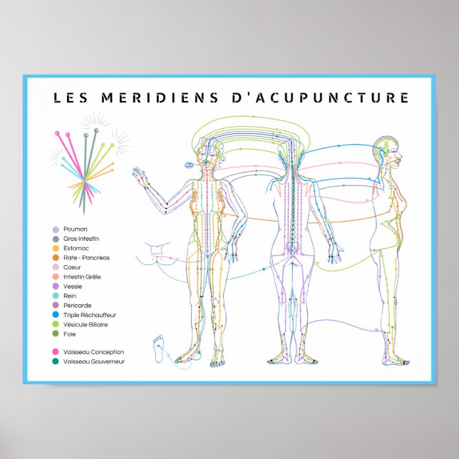 Poster Méridiens d'Acupuncture, médecine chinoise (Front)