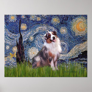 Poster Merle Aussie Shep - Nuit étoilée