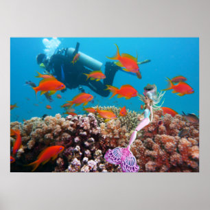 Poster Mermaid célèbre