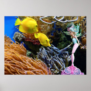 Poster Mermaid célèbre