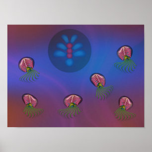 Poster Merveille
