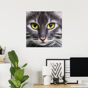 Poster Merveilleux portrait de chat