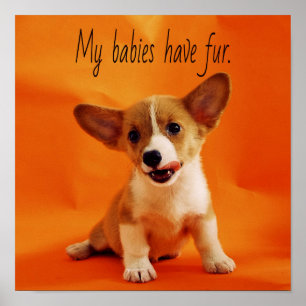 Poster Mes bébés ont un chien à fourrure, de mignons chio