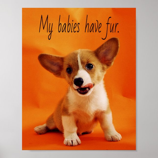 Poster Mes bébés ont un chien à fourrure, de mignons chio (Devant)