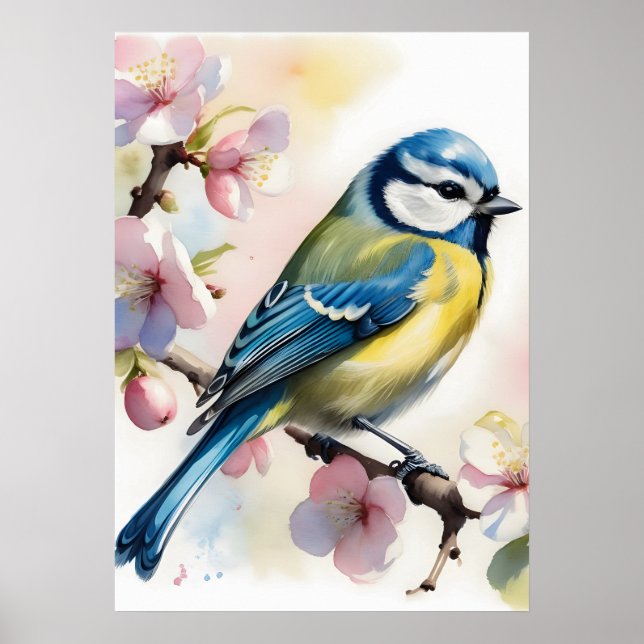 Poster Mésange bleue à l'aquarelle sur un pommier au prin (Devant)
