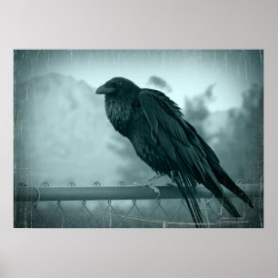 Poster Messenger