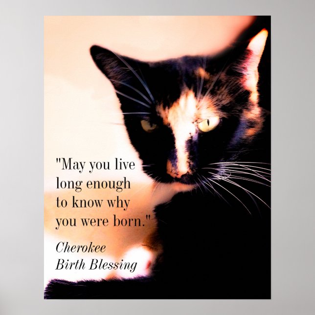 Poster Messenger Cat (Devant)