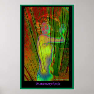 Poster Métamorphose