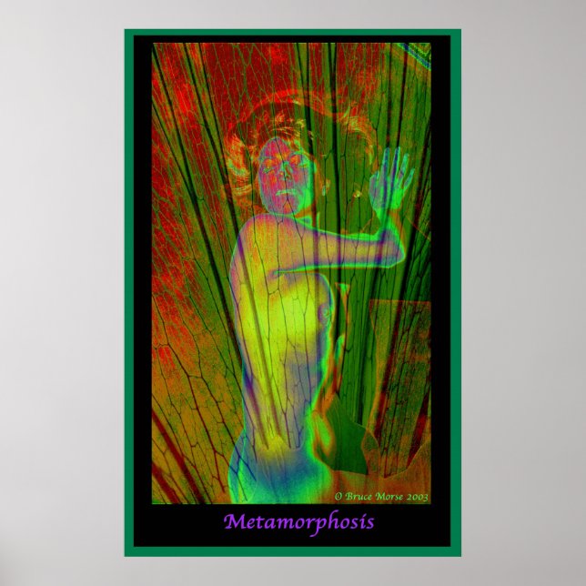 Poster Métamorphose (Devant)