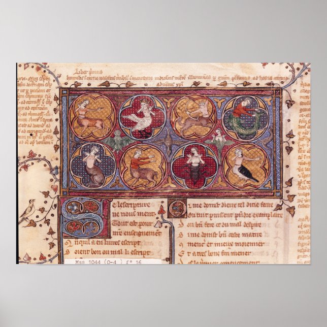 Poster Métamorphoses, d'Ovid Moralize (Devant)