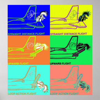 Poster Méthode De Vol