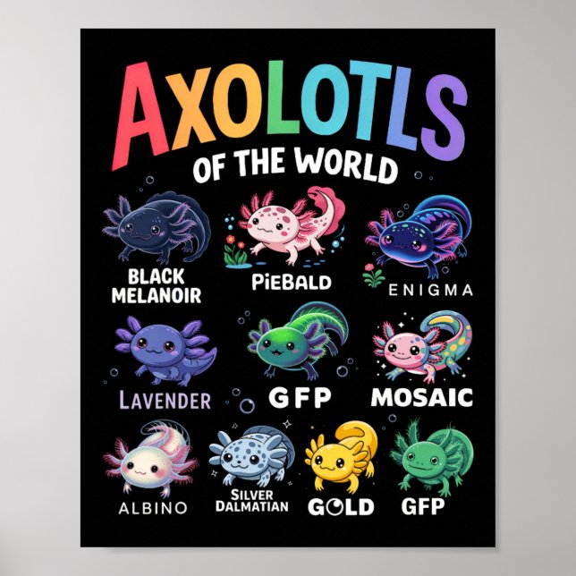 Poster Mets Axolotls Du Monde Kawaii Axolotl Cute Art (Devant)