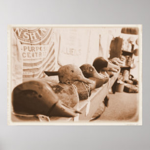 Poster Mettez vos canards dans une rangée