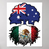 Mexique Australie Australie racine d'arbre