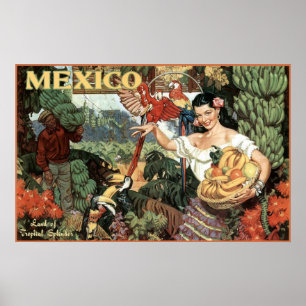 Poster mexique pays de la splendeur tropicale