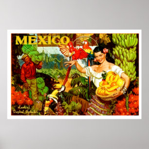 Poster Mexique Vintage Pays De Splendor Tropical