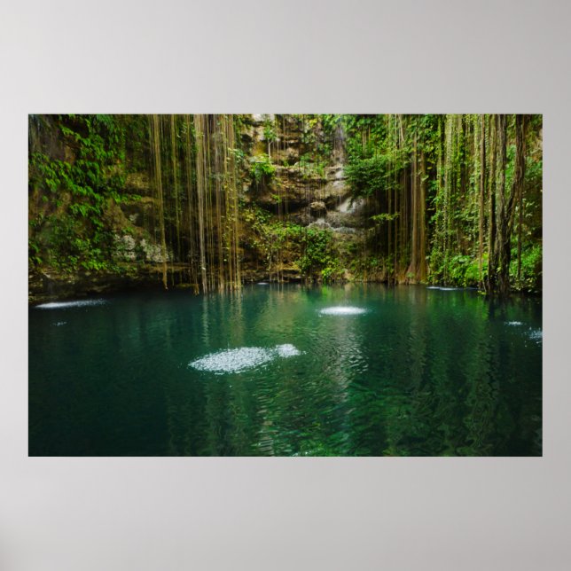 Poster Mexique, Yucatan, Lac Pittoresque (Devant)