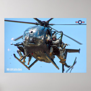 POSTER MH6M PETIT OISEAU