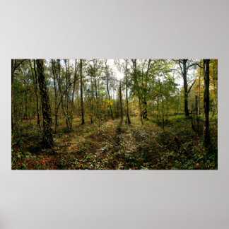 Poster Mi-automne,