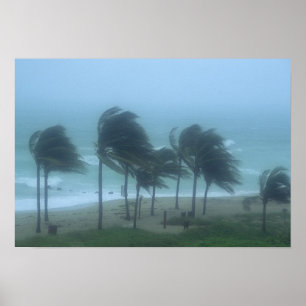 Poster Miami Beach, Floride, vents d'ouragan fouettant