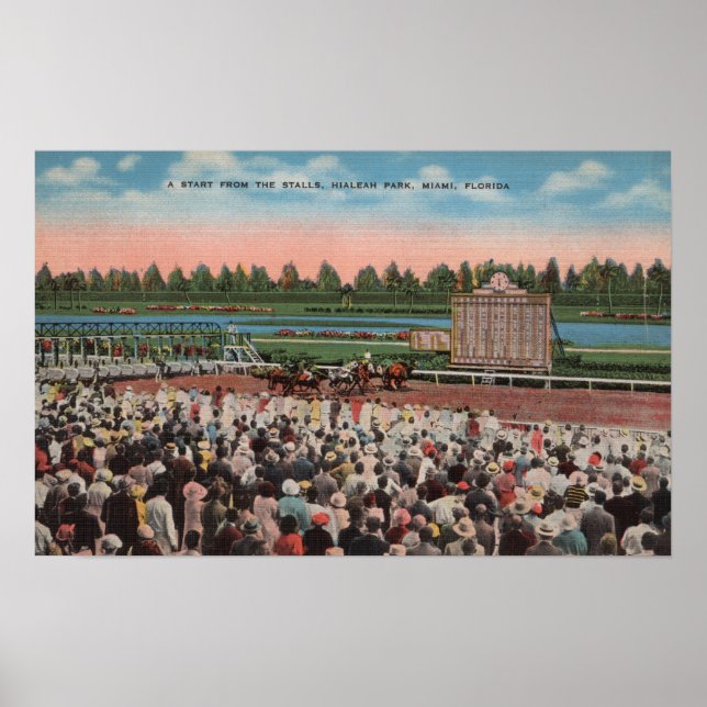 Poster Miami, FL - Vue sur le parc Hialeah avec le cheval (Devant)