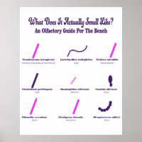Microbiologie Bench Olfactory Guide