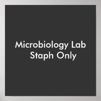 Poster Microbiologie Lab Staph uniquement