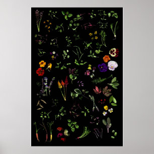 Poster Microgreens