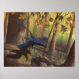 Poster Microraptor Takeoff Print