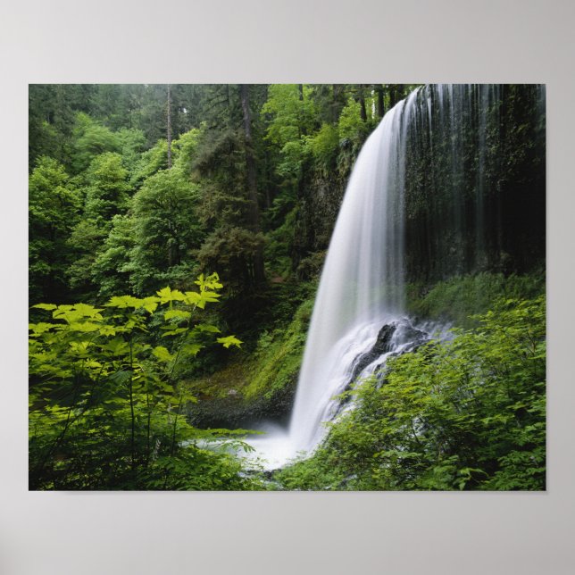 Poster Middle North tombe, Silver Falls State Park, (Devant)