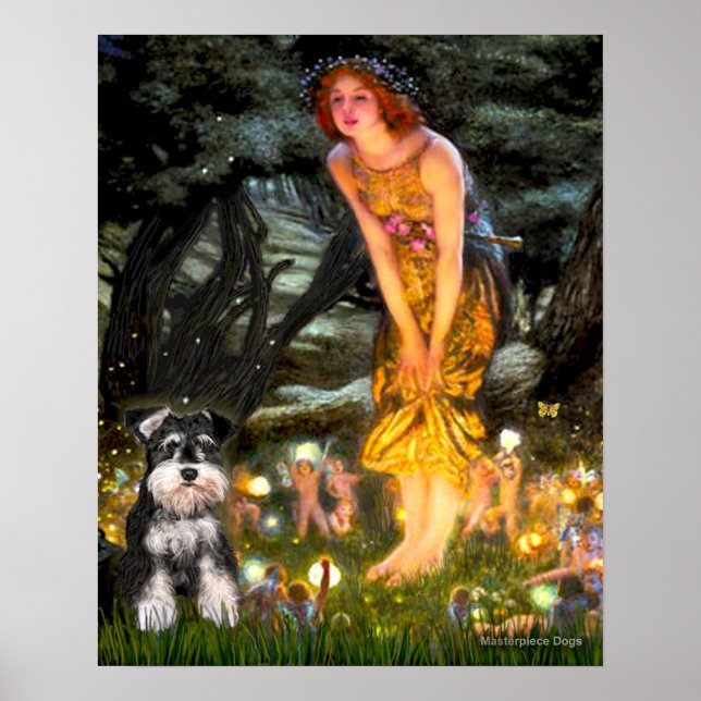 Poster MidEve - Schnauzer (B) (Devant)