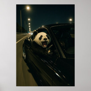 Poster Midnight Ride – Drôle de Panda dans un Mur de Voit