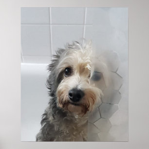 Poster Mignable Adorable West Highland White Terrier dans