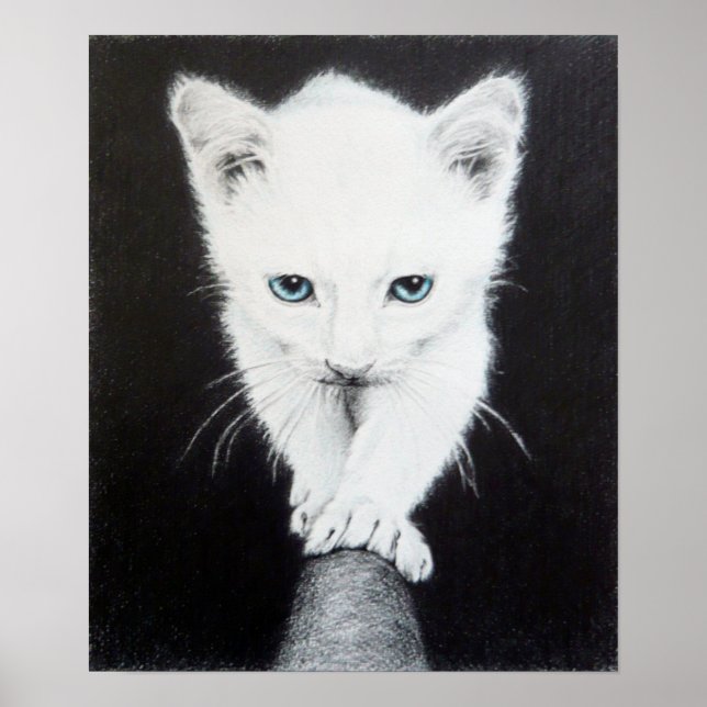 Poster Mignon petit chaton blanc Dessin d'animal Art Amou (Devant)