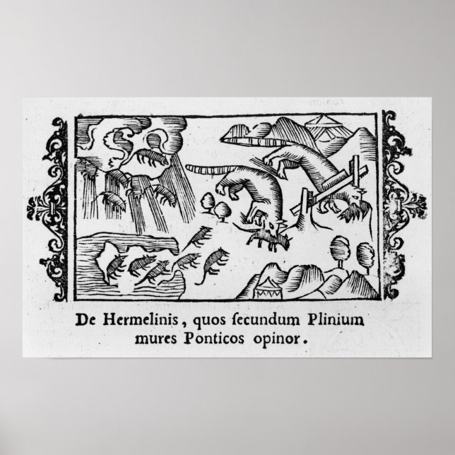 Poster Migration des lemmings (Devant)