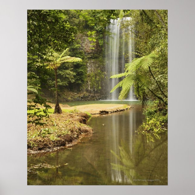 Poster Millaa Millaa Falls, Atherton Tableland (Devant)