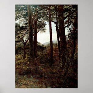 Poster Millais - Scotch Firs 1873