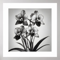 Miltonia Orchidées II Imprimantes d'art monochroma