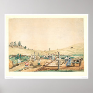 Poster Mineurs de la Californie travaillant un Arrastra