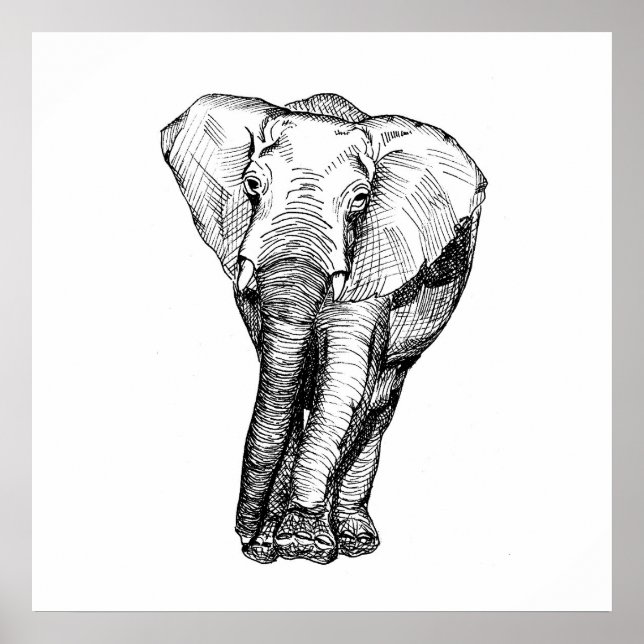 Poster Minimalisme noir et blanc, animaux, original (Devant)