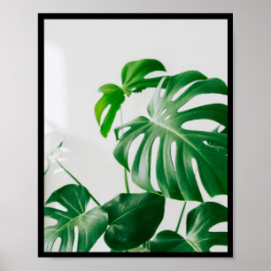 Poster minimaliste du cadre photo botanique