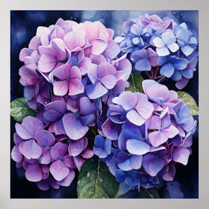 Poster Minuit Jardin Violet Hydrangea Aquarelle