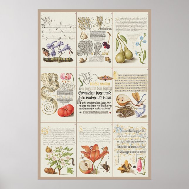 Poster Mira Calligraphiae Monumenta 005 (Devant)