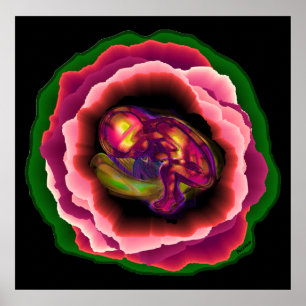 Poster Miracle de la vie