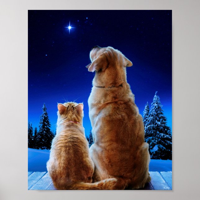 Poster Miracle de Noël pour chat et chien (Devant)
