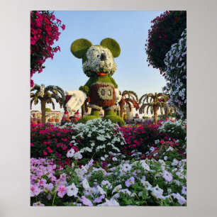 Poster Miracle Garden, Dubaï Émirats arabes unis